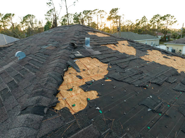 Best Commercial Roofing Services  in Combes, TX