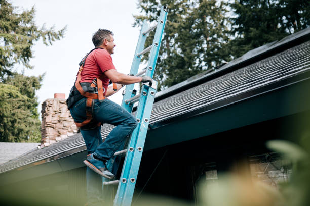 Best Gutter Installation and Repair  in Combes, TX